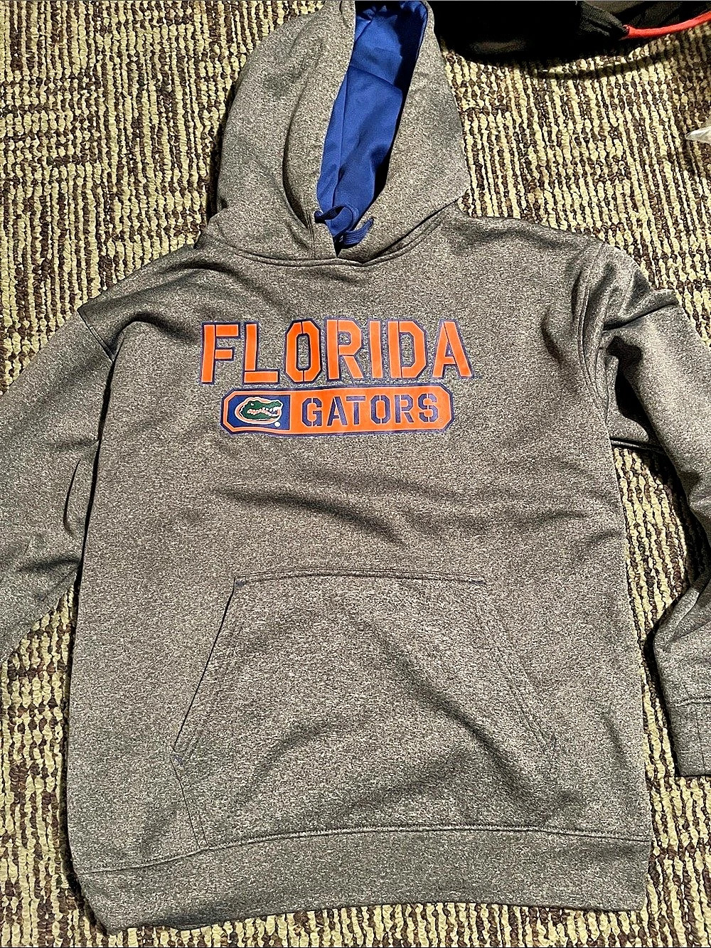 Florida Gators hoodie Graphic Hoodie